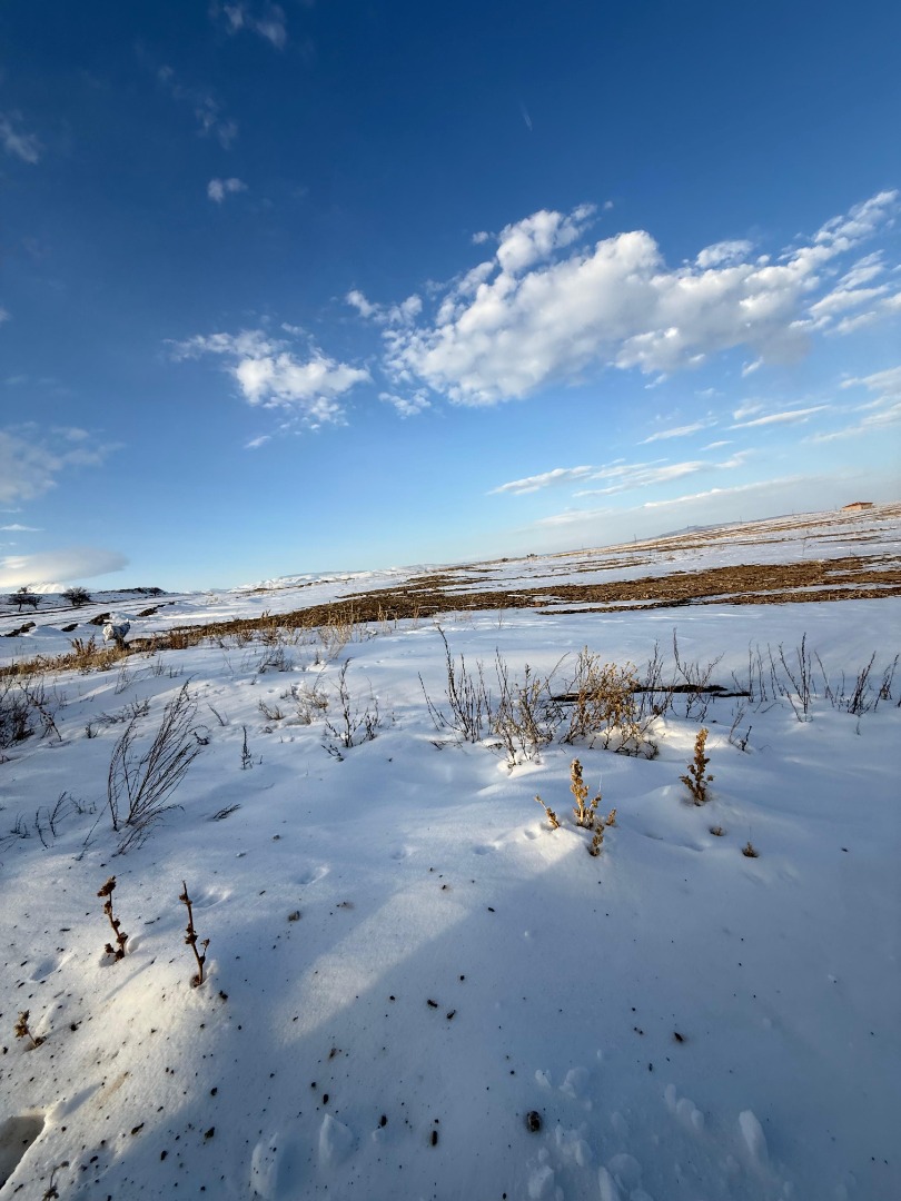 KAYSERİ DEVELİ ÇÖTEN MAHALLESİNDE SATILIK TARLA
